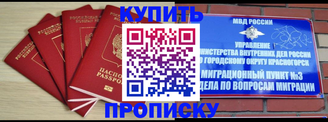 временная регистрация для всех в Мончегорске